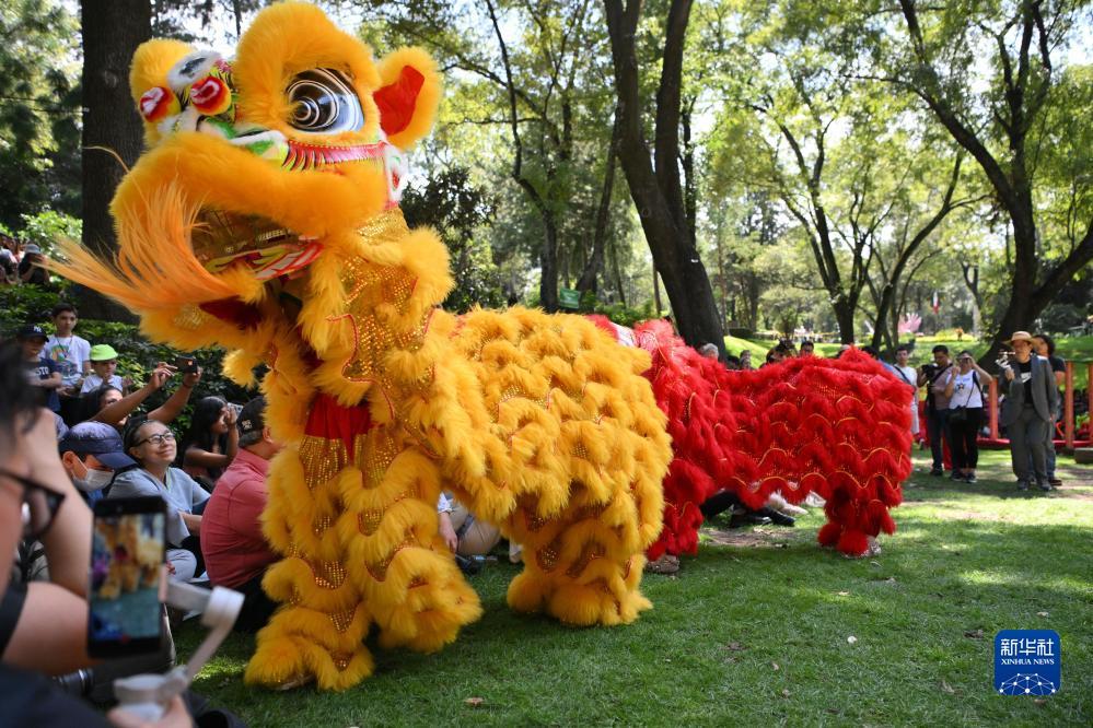 夺宝英雄游戏
